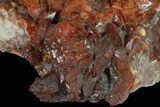 Natural, Red Quartz Crystal Cluster - Morocco #131359-3
